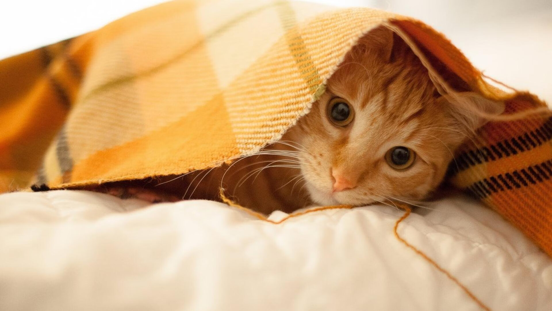 钢铁洪流终破局，毕尔巴鄂竞技用NBA式末节哲学带走智利国家队