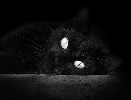 撕裂宿命之夜，英格拉姆獠牙出鞘，北京队粉碎不败公牛神话