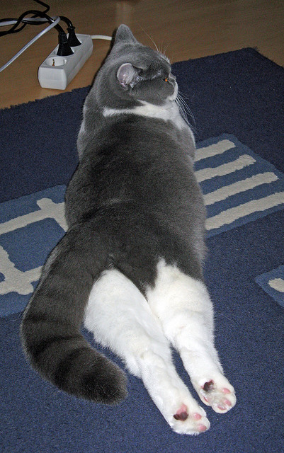 44+18！字母哥太空城市上演狂暴之战，深圳加时鏖战力擒开拓者