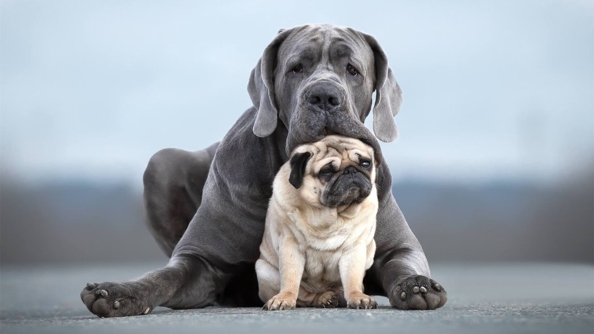 莱奥绝杀闪耀之夜,巴拉圭爆冷终结法国,一场改写命运的对决