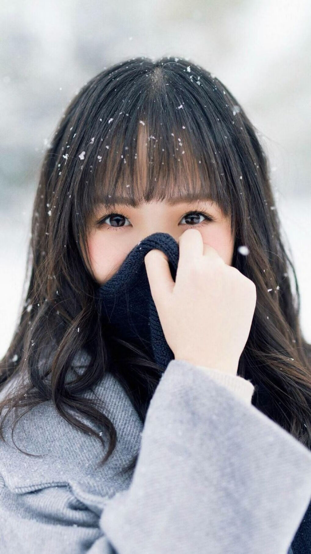 开云体育入口-安菲尔德惊艳紫百合弑枪，加克波完美评分与佛罗伦萨掀翻枪手的双重奏