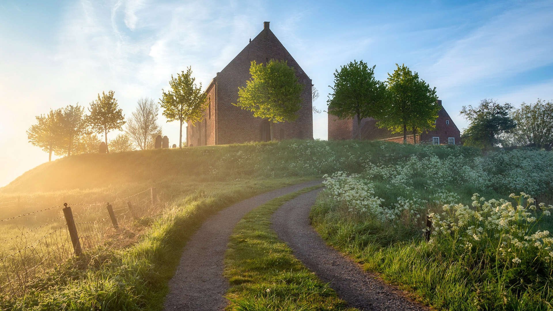 楚阿梅尼爆发引领卡塔尔历史性击败厄瓜多尔，一场足球奇迹的诞生