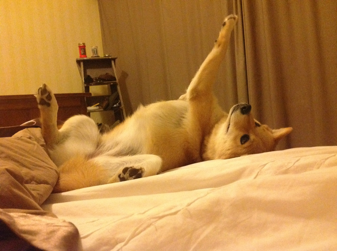 叹息之墙，保罗导演攻防棋局，骑士展现体系性压制