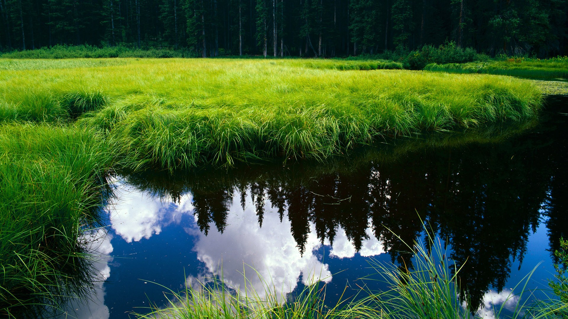 开云体育APP下载-唯一战神,凯恩于年度焦点之战,用魔法改写剧本