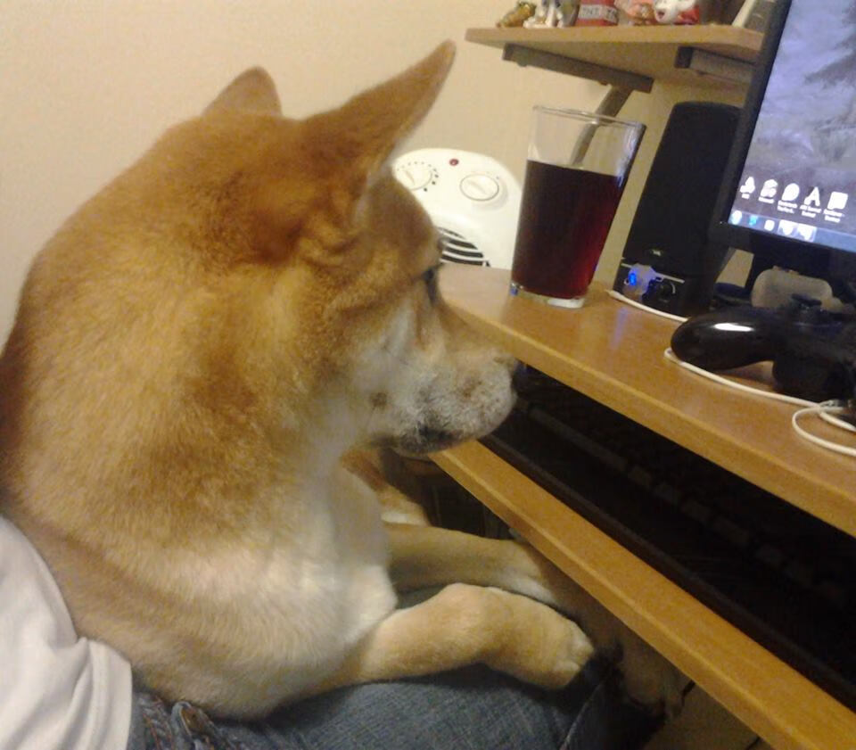 戈贝尔英超加时赛绝杀！勇士爆冷快船竟成英超争冠转折点？