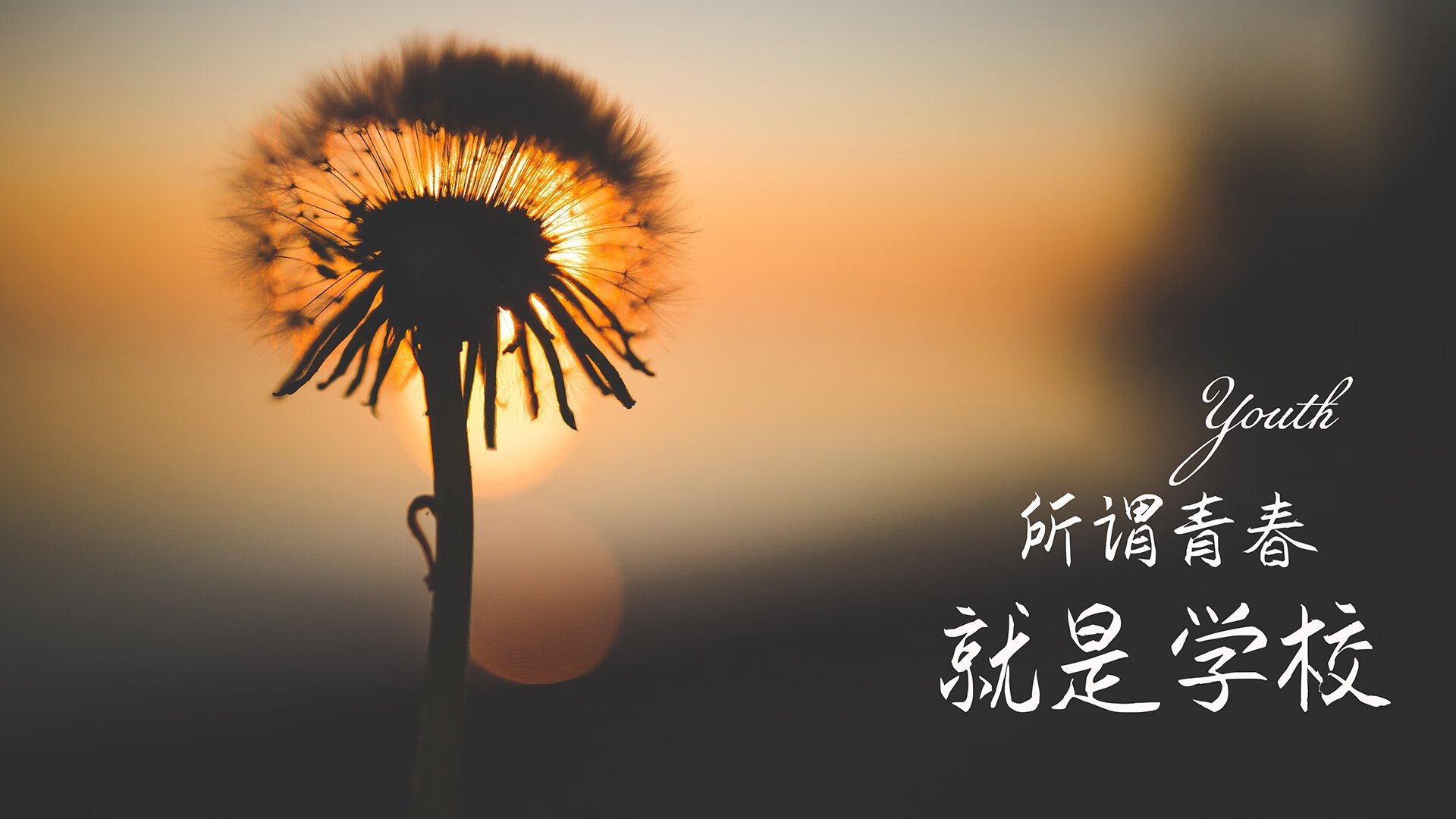 开云体育在线-显微镜下的完美,当范弗利特用一场比赛定义控卫的终极形态