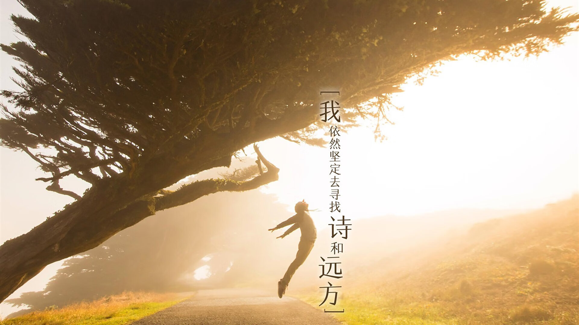 铁壁与利刃,吉鲁领军,哥伦比亚如何在2026世界杯C组关键战中横扫沙特