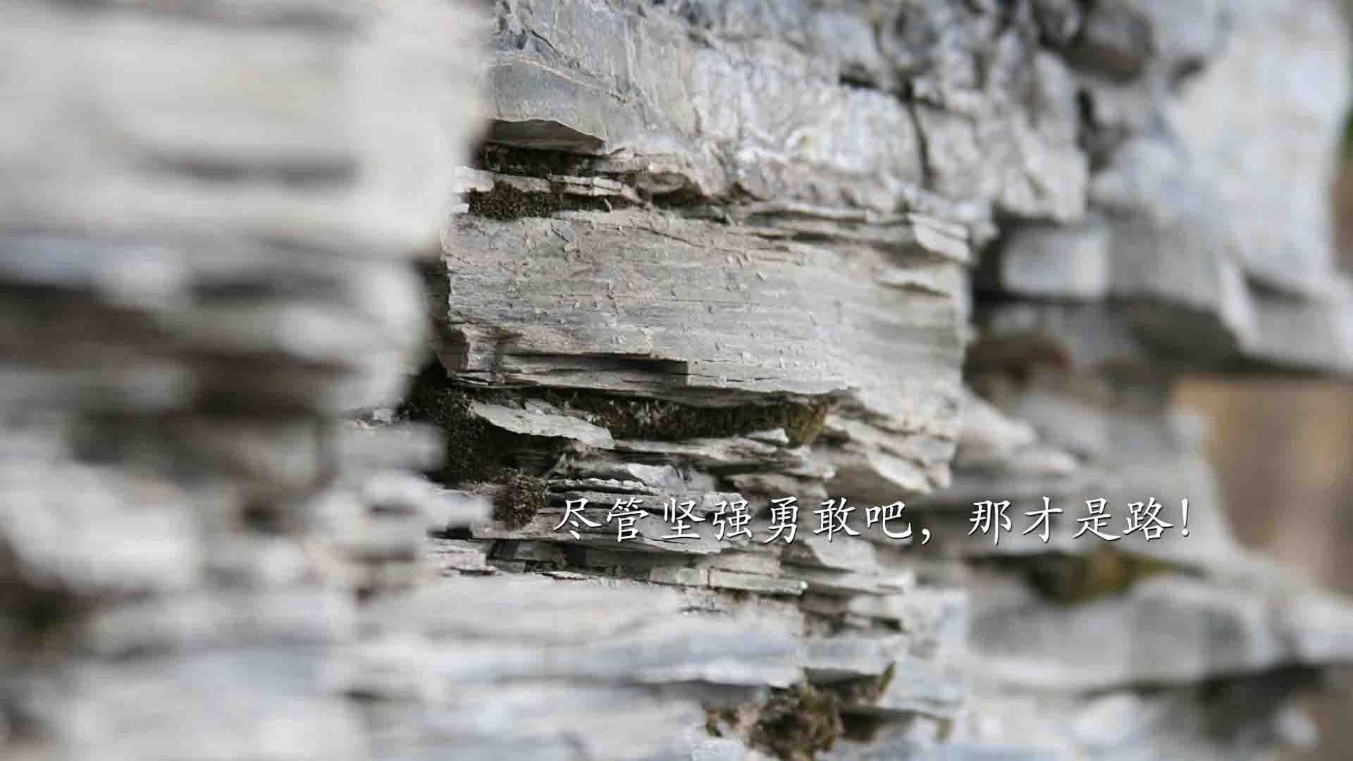斗牛士的血色黎明,阿诺德如何用一己之力,在废墟之上定义唯一