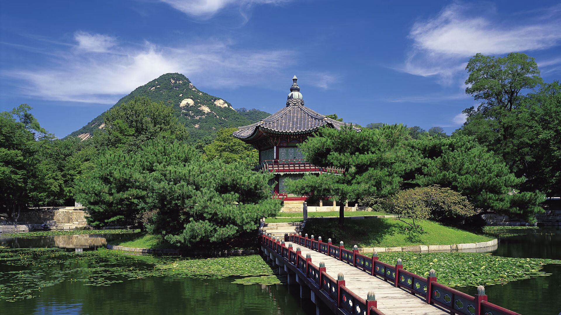开云体育在线-2026世界杯H组焦点战,秘鲁碾压韩国,苏亚雷斯封神之夜演绎进攻风暴