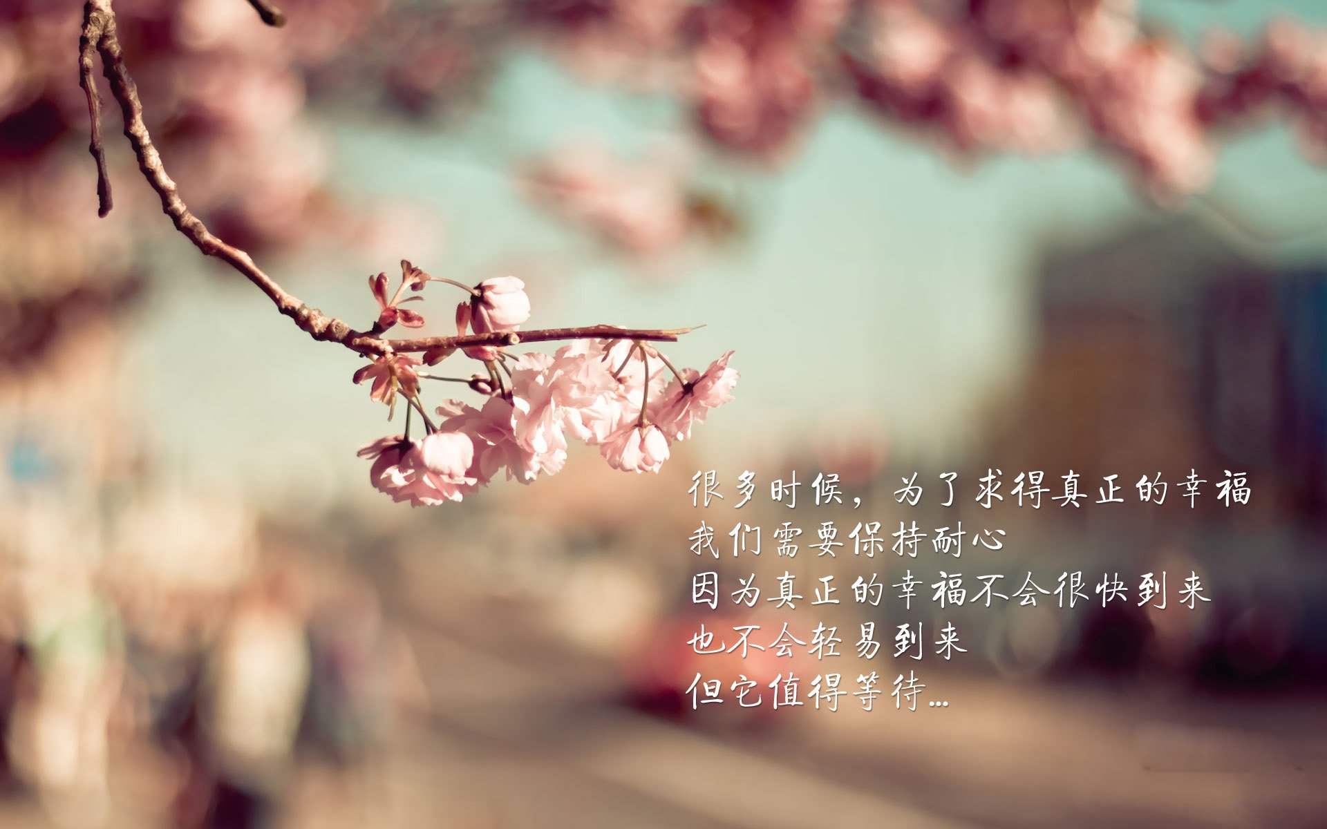 蓝色陨落与马背上的桑巴,2026世界杯H组,匈牙利绝杀意大利,内马尔独舞成永恒