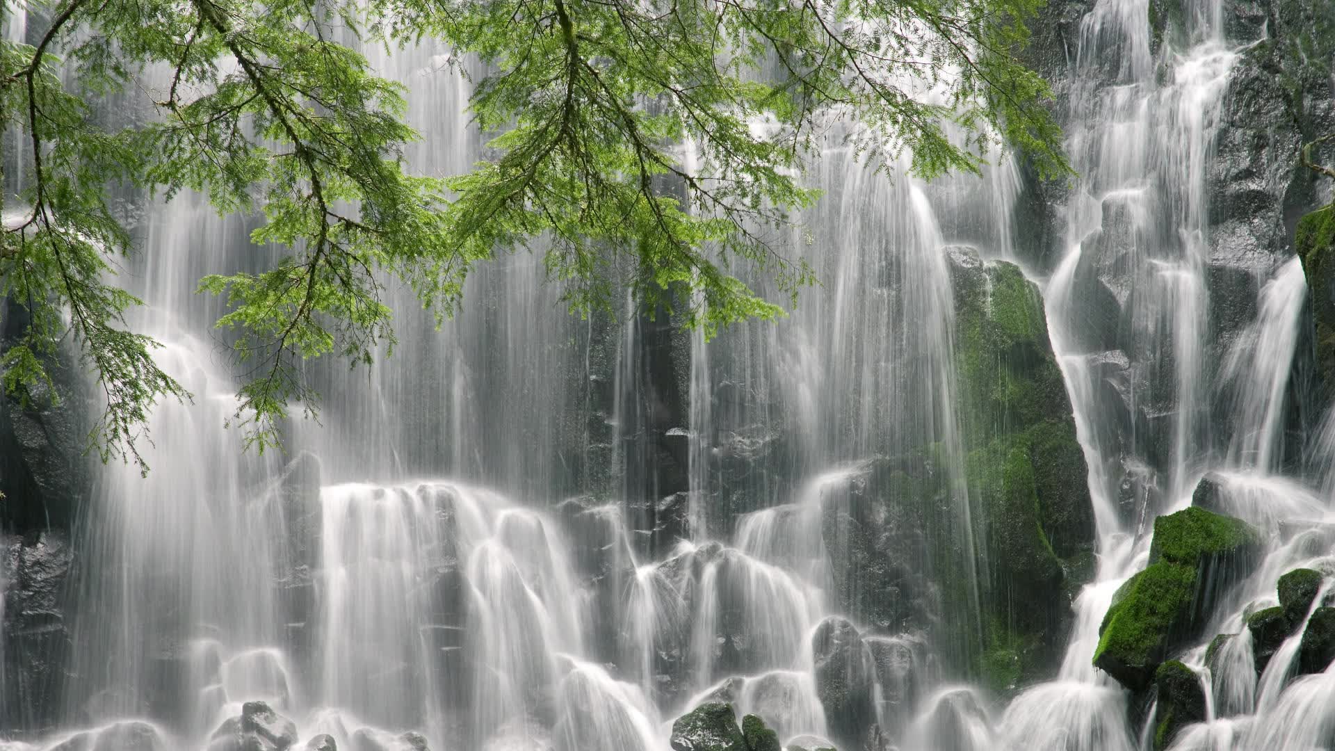 开云-潘帕斯雄鹰的绝地反击,费利克斯独造三球,阿根廷2-1逆转越南锁定A组头名