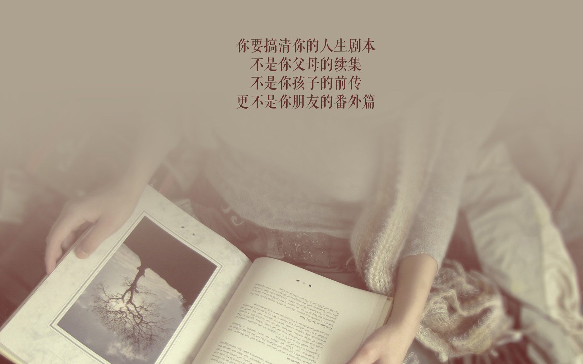 开云APP-当非洲雄狮遇上安第斯雄鹰，布罗佐维奇，在世界杯争冠战的混沌中雕刻唯一
